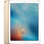 Apple iPad Pro 12.9 (256GB - CELLULAR)